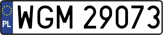 WGM29073