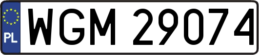 WGM29074