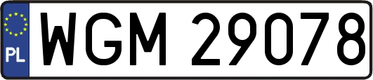 WGM29078