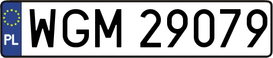 WGM29079