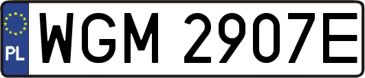 WGM2907E