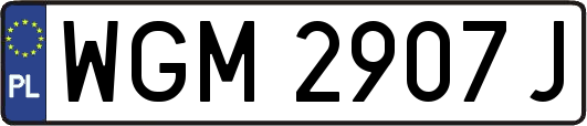 WGM2907J
