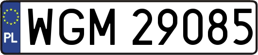 WGM29085