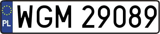 WGM29089