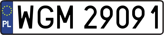 WGM29091