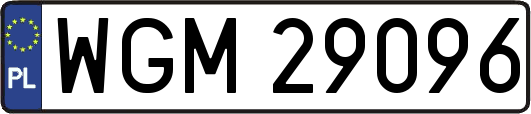 WGM29096
