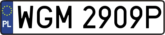 WGM2909P