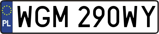 WGM290WY