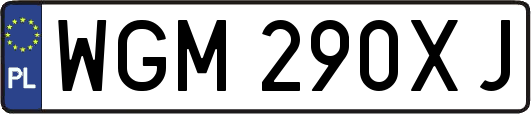 WGM290XJ