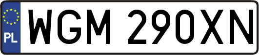 WGM290XN
