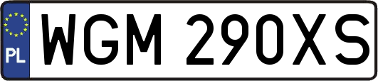 WGM290XS