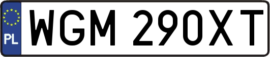 WGM290XT