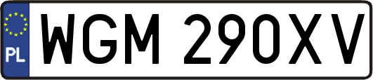 WGM290XV