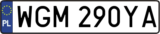 WGM290YA