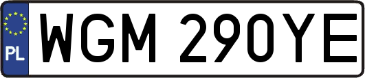 WGM290YE