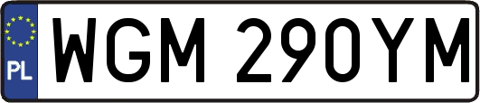 WGM290YM
