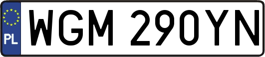 WGM290YN