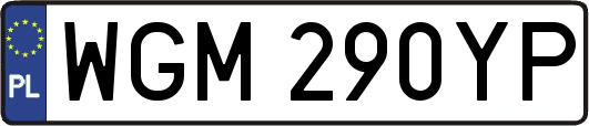 WGM290YP