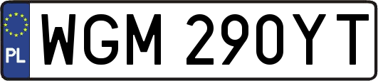 WGM290YT