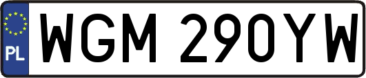 WGM290YW