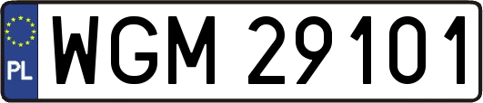 WGM29101