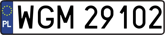 WGM29102