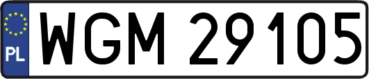 WGM29105