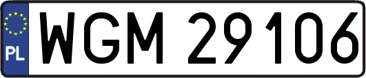 WGM29106