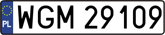 WGM29109
