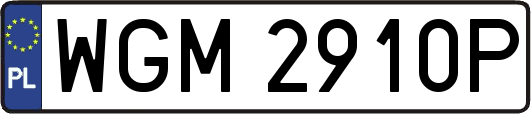 WGM2910P