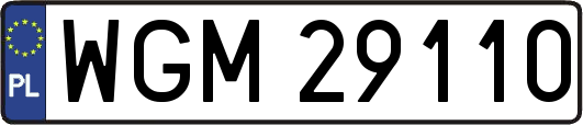 WGM29110