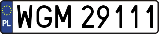 WGM29111