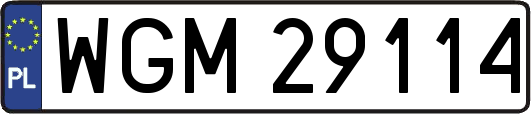WGM29114