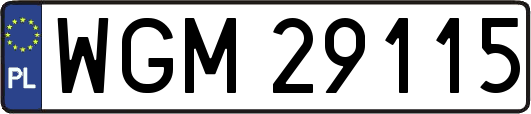 WGM29115