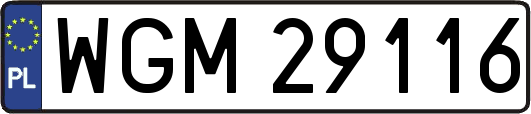WGM29116