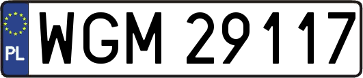 WGM29117