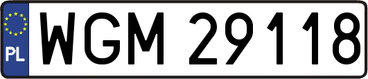 WGM29118