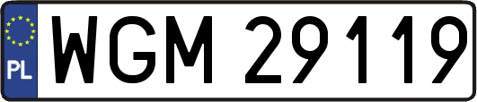 WGM29119