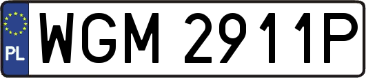 WGM2911P