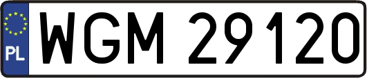 WGM29120