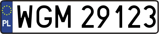 WGM29123