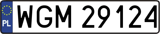 WGM29124
