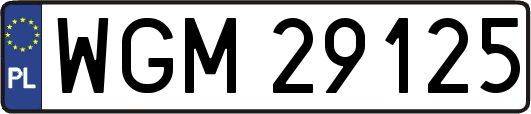 WGM29125