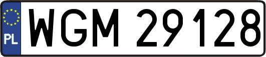 WGM29128