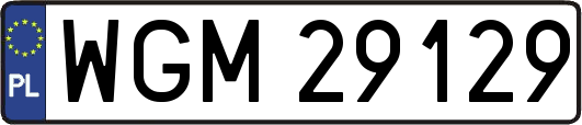 WGM29129