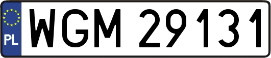 WGM29131