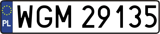 WGM29135