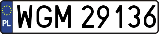 WGM29136