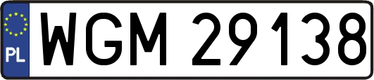 WGM29138