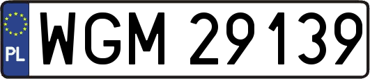 WGM29139